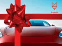 Tesla gifts