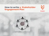 Effective Stakeholder Engagement Plan